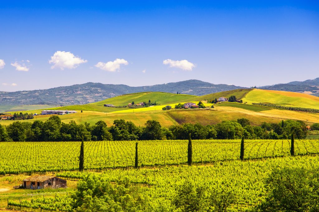 Montalcino Wine Growing Region in Tuscany, Italy